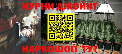 Альфа ПВП Будённовск