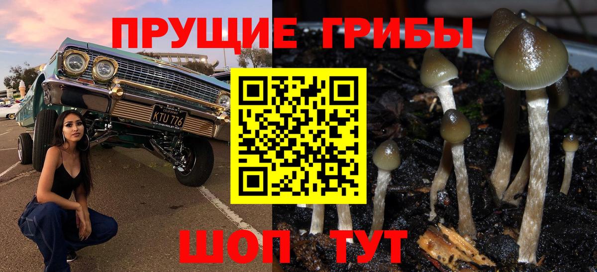 Галлюциногенные грибы Psilocybe Советский
